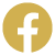 ico facebook